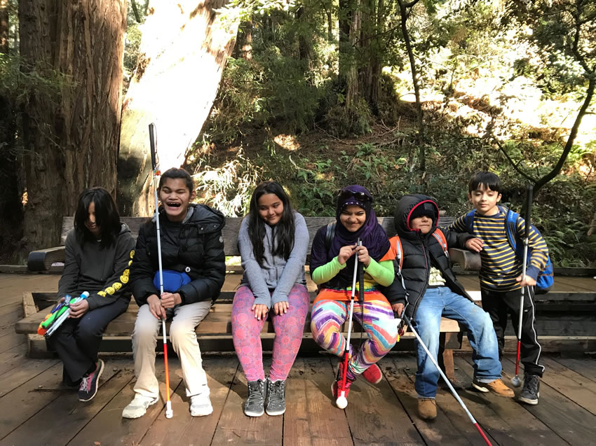 Six students rest on a bench after a hike through Muir Woods.