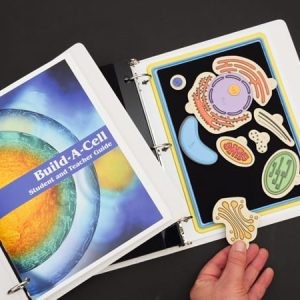 Build A Cell
