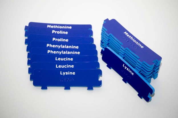 Protein Synthesis Kit