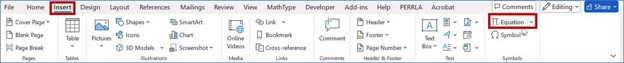 Word Equation Editor 