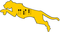Side view of a cheetah (CSB mascot) jumping. The spots on its side spell CSB in braille.